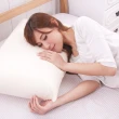 【織眠家族】純淨宣言-大尺寸AA級蜂巢平面天然乳膠枕(2入)