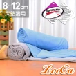 【LooCa】吸濕透氣8-12cm薄床墊布套MIT-拉鍊式(加大6尺-藍色)