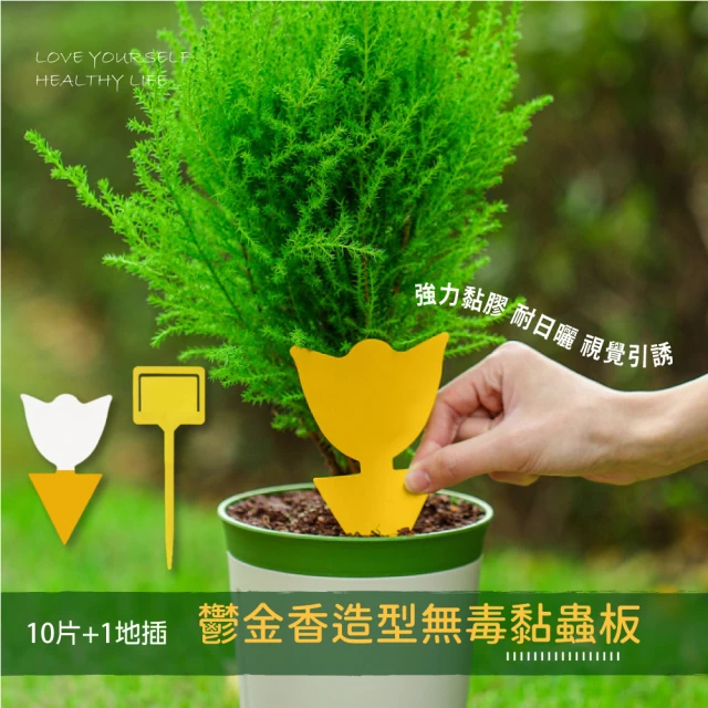 除蟲片