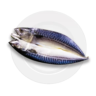 【買一送一 好神】嚴選挪威鯖魚一夜干10尾組(300g/尾 共20尾)