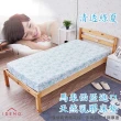 【伊登名床】10cm天然乳膠床墊-夏日好眠系列(雙人5尺)