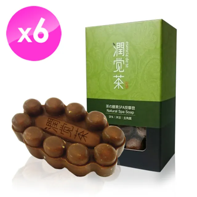 【TEAPOWER 茶寶】潤覺茶 茶籽酵素SPA去角質舒緩按摩皂100g 6入組