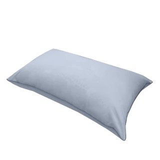 【雪妮絲】台灣吸濕排汗透氣健康枕(買一送一  贈午安抱枕 x 1)
