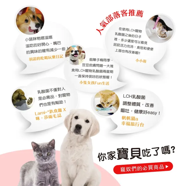 【LCH】寵物乳酸菌60g-犬貓保健食用2個月(大罐裝 - 調整毛體質_維持抵抗力)