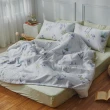 【LASOL 睡眠屋】40支100%天絲 銀離子兩用被套床包枕套組 雙人(河畔花絮)