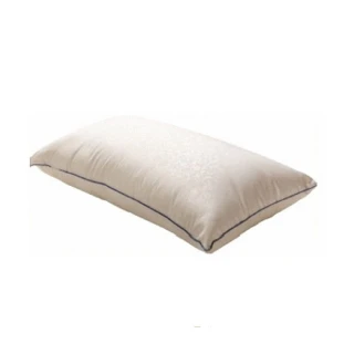 【海夫健康生活館】EverSoft 寶貝墊 透氣型 四孔纖維 枕頭(74 x 45 x 15)