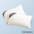 【TENDAYS】健康防蹣枕套(單入)