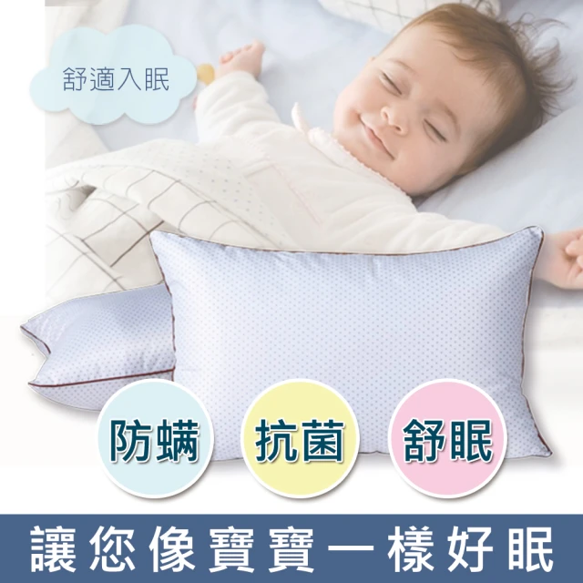 【18NINO81】防蹣安眠舒柔枕(雙枕)