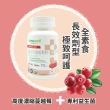 【timewell 時光安好】護密莓益菌錠 花青素 專利益生菌(1入/60粒)