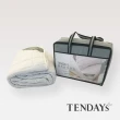 【TENDAYS】備長炭床包型保潔墊(標準雙人 5尺)