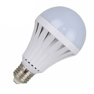 LED白光省電節能萬用燈泡 9W(燈泡 智能燈泡 手電筒)