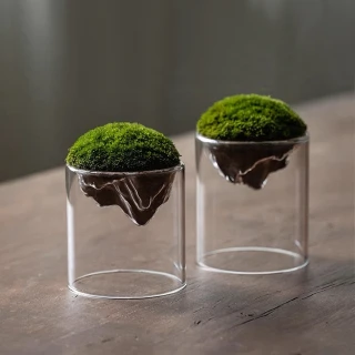 【沐森Green Life】12cm圓球微景觀花架組 多肉植物花盆(含介質 不含植物)