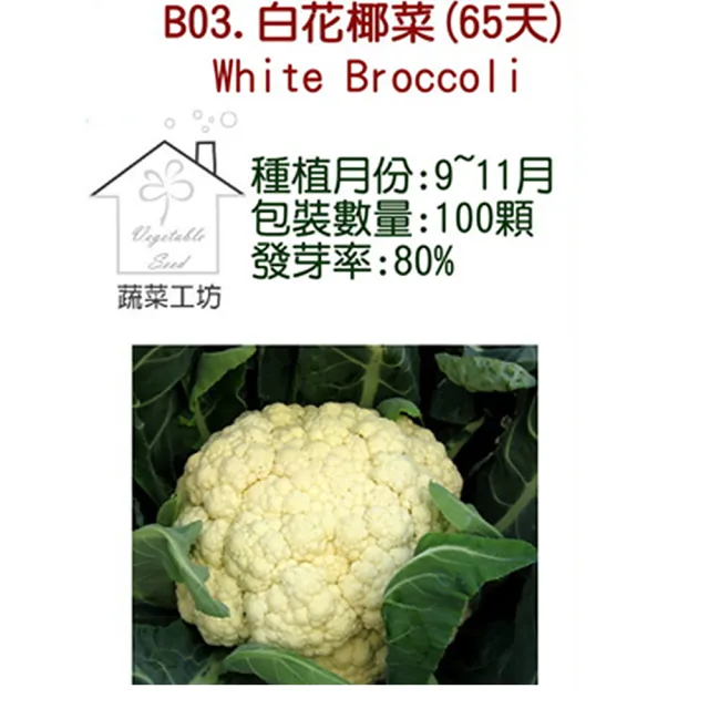 【蔬菜工坊】B03.白花椰菜種子