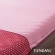【TENDAYS】玩色柔眠記憶床3尺標準單人(乾燥玫瑰 5.5cm厚  可捲收薄墊)