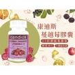 【Candice康迪斯】天然蔓越莓+益生菌膠囊 兩瓶組(60顆/瓶)
