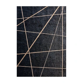 【Ambience】比利時Palmas 玄關/床邊 絲光地毯(光影 68x110cm)