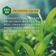 【美國BestVite】必賜力綠茶萃取+維生素C膠囊1瓶(120顆*1瓶)