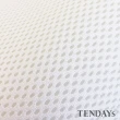 【TENDAYS】立體蜂巢透氣網(標準單人床墊用)