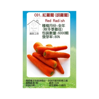 【蔬菜工坊】C01.紅蘿蔔種子(胡蘿蔔)
