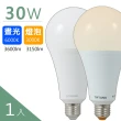 【TATUNG 大同】30W白光/黃光LED節能燈泡(2入)