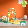 【Playful Toys 頑玩具】嬰兒玩具限定組合(貓頭鷹嬰兒腳踏琴健力架+六合一早教忙碌球 健身架 忙碌板)