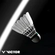 【VICTOR 勝利體育】新碳音球 NCS(NEW CARBONSONIC 一筒/6顆)