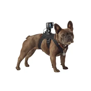【GoPro】寵物胸背帶 Fetch(ADOGM-001)