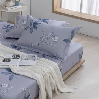 【MONTAGUT 夢特嬌】60支長絨棉二件式枕套床包組-海洛尼(單人)