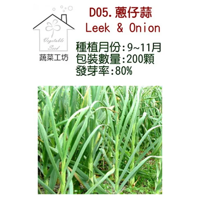 【蔬菜工坊】D05.蔥仔蒜種子