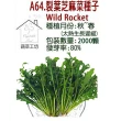 【蔬菜工坊】A64.裂葉芝麻菜種子