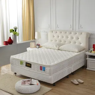 【A+愛家】正三線-抗菌防潑水蜂巢獨立筒床墊(雙人五尺)