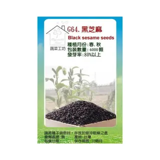 【蔬菜工坊】G64.黑芝麻種子(胡麻)