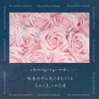 【GIFTME5】99朵玫瑰花束 玫瑰花束(99朵☆☆☆☆☆☆玫瑰花束 浪漫必備 花束 玫瑰 求婚告白)