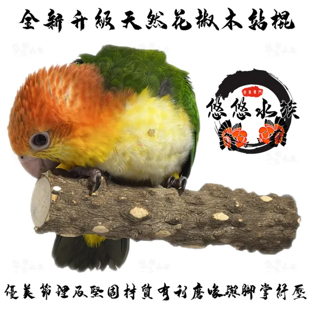 【YOYO 悠悠水族】天然花椒木紓壓站棍_小號_三入組(鳥用品、鳥玩具、鸚鵡用品、鸚鵡玩具、棲木、站棍)