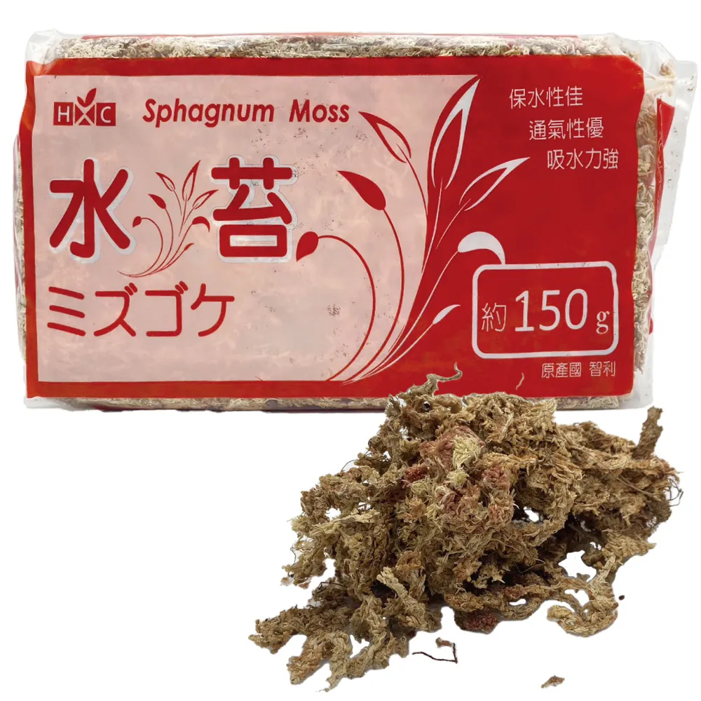 【小美紀】150g智利水苔-2包入-6Y(水苔 蕨類 水培植物 水草 介質 鹿角蕨種植 植物 甲蟲)