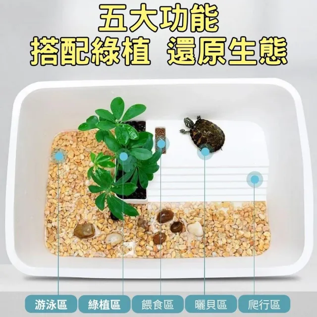 【Petvibe寵趣生活】烏龜生態飼養箱超大號長53cm(烏龜缸/飼養箱/龜缸/生態缸/烏龜/陸龜飼養箱/兩棲爬蟲)