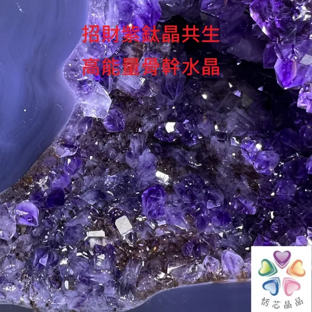 【恬芯晶品】巴西木型紫鈦紫水晶洞8.2KG新居財位擺設AJ10(紫鈦晶洞開運招財招貴人開業財位父親節)