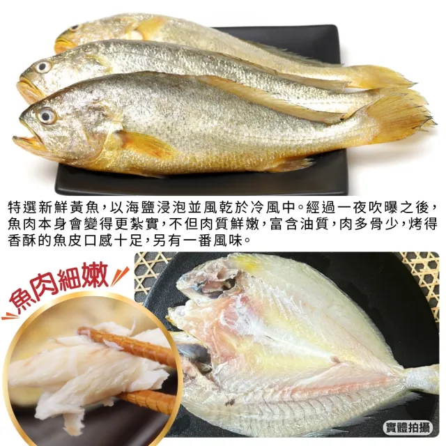 三頓飯】鮮凍黃魚一夜干(250-300g/尾) - momo購物網- 好評推薦-2024年2月