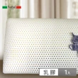 【Raphael 拉斐爾】美國防螨乳膠枕-平面基本型(14cm/1入)