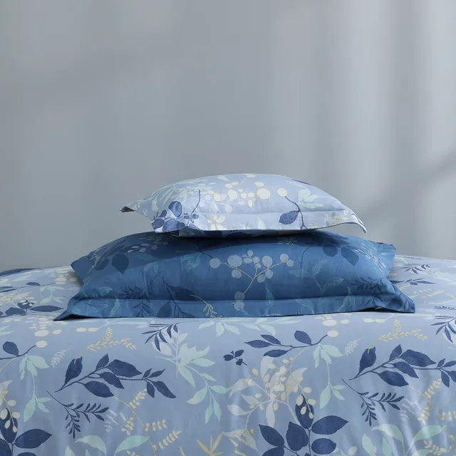 【MONTAGUT 夢特嬌】40支精梳棉兩用被床包組-藍葉莊園(特大)