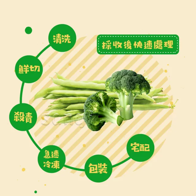 【老爸ㄟ廚房】鮮凍蔬菜青花菜/四季豆 任選3包(500G±3%/包)