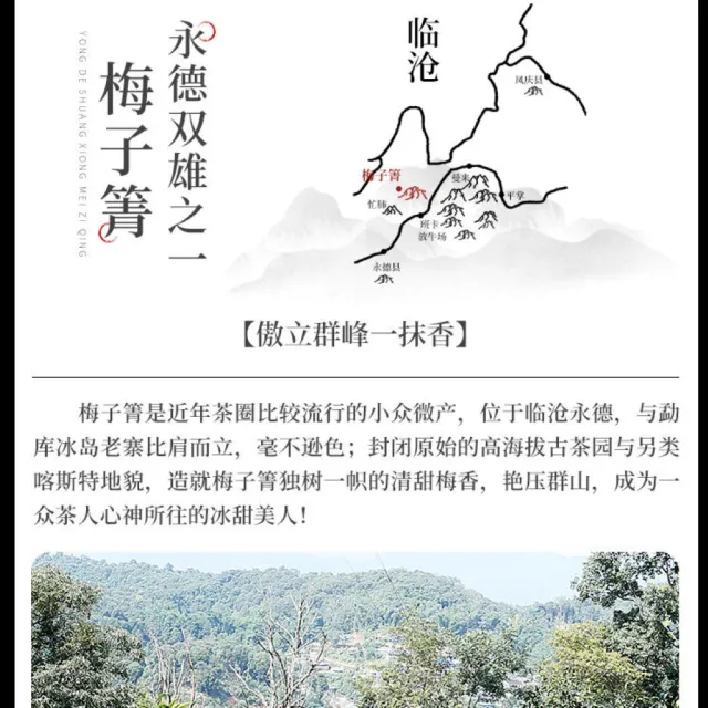 【盛嘉源】書呆子 紫印 梅子箐 2022年(普洱茶 生茶 357g)