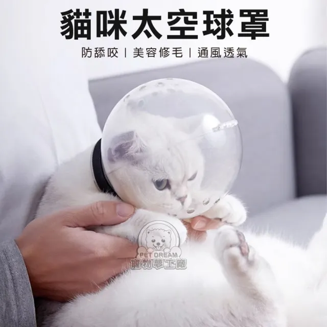 【寵物夢工廠】貓咪太空球罩(貓咪頭套 寵物頭套 防咬神器 防舔頭套)