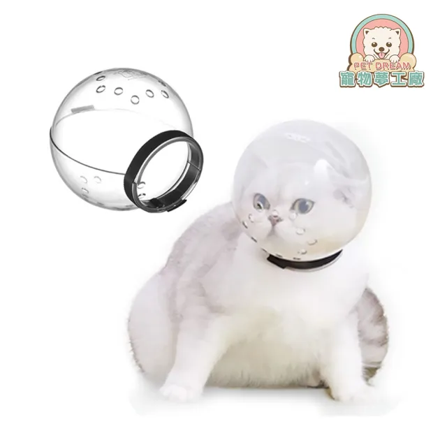 【寵物夢工廠】貓咪太空球罩(貓咪頭套 寵物頭套 防咬神器 防舔頭套)