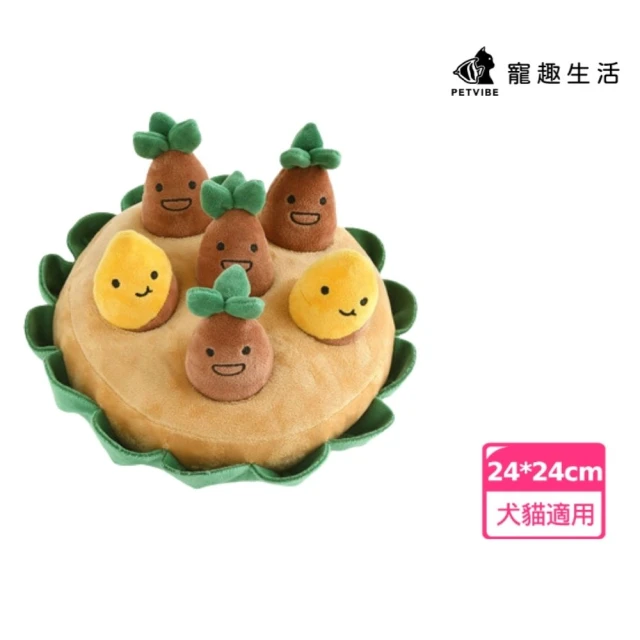 寶寶益智玩具