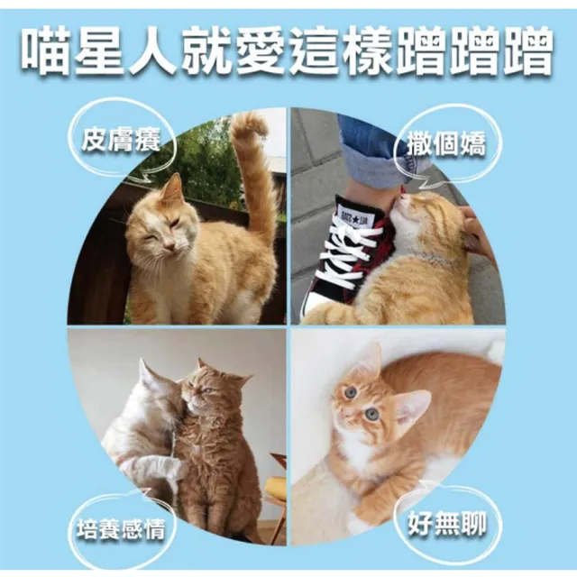 【LIKE PET】牆角貓蹭毛器(貓咪除毛梳 廢毛梳 牆角梳 貓磨蹭 貓抓癢 貓梳毛 貓抓背 按摩梳)