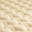 【MUSGARI瑪格麗】米西亞 乳膠獨立筒 彈簧床墊-單人3.5尺(送保潔墊)