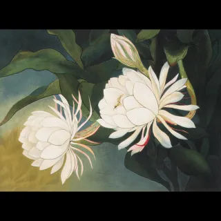 【陳進藝術典藏】親筆簽名限量發行石版畫(月下美人)