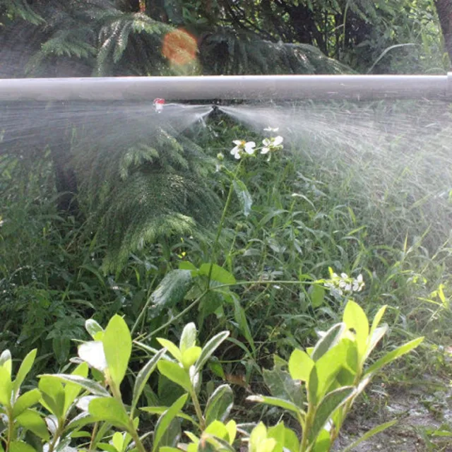【灑水達人】微霧小噴頭一包100個(黑)