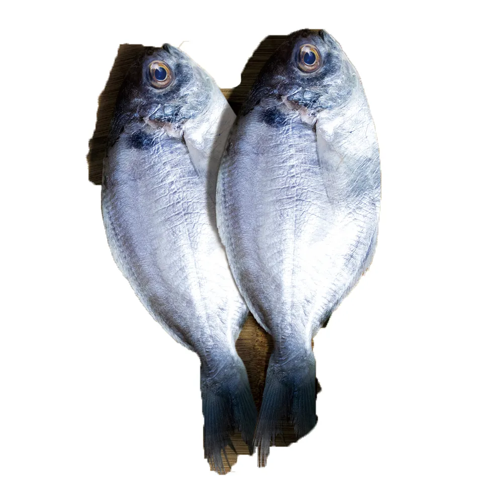 【好神】買10送10-鮮凍優質肉魚10尾組(90G/尾 2尾/包 共20尾)